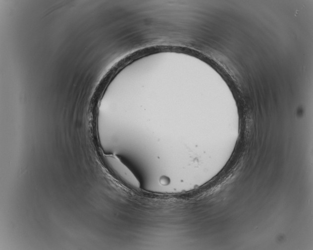 X0000094060926200711161521