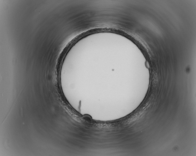 X0000094060927200711161521