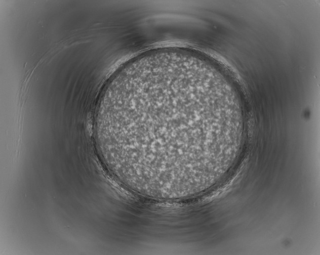 X0000094060929200711161521