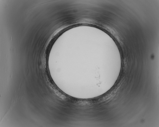 X0000094060931200711161521