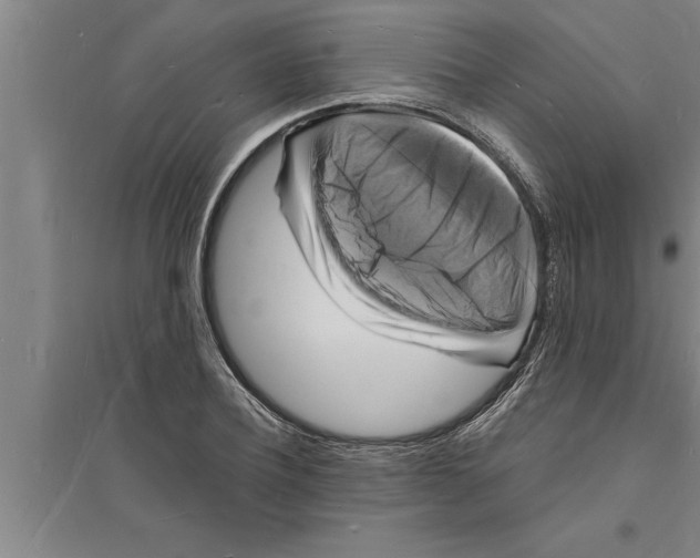 X0000094060932200711161521