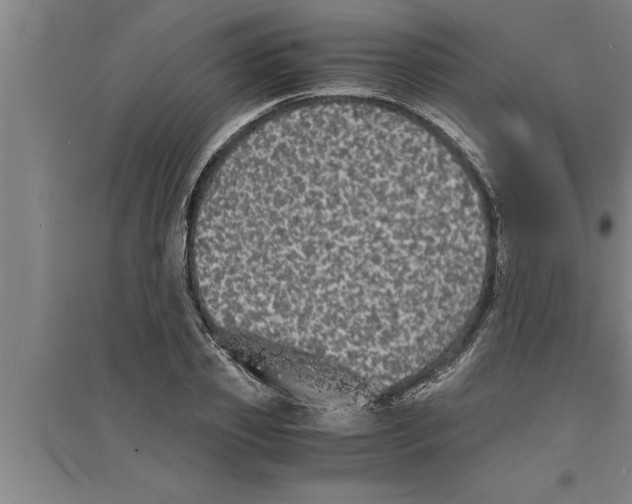 X0000094060933200711161521