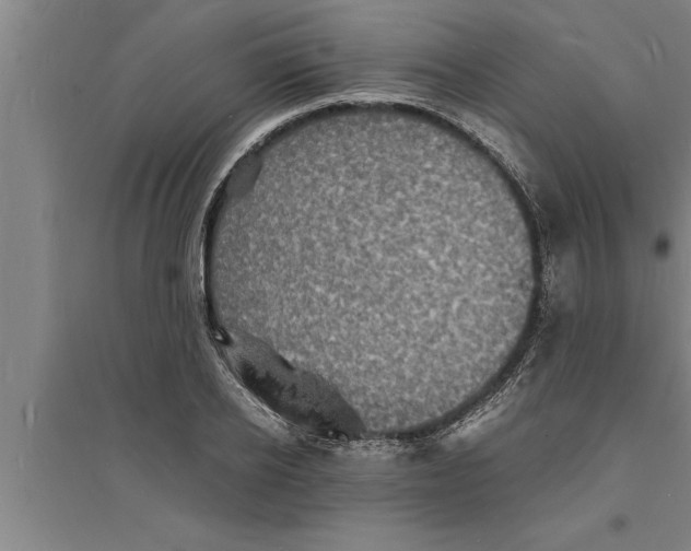 X0000094060934200711161521