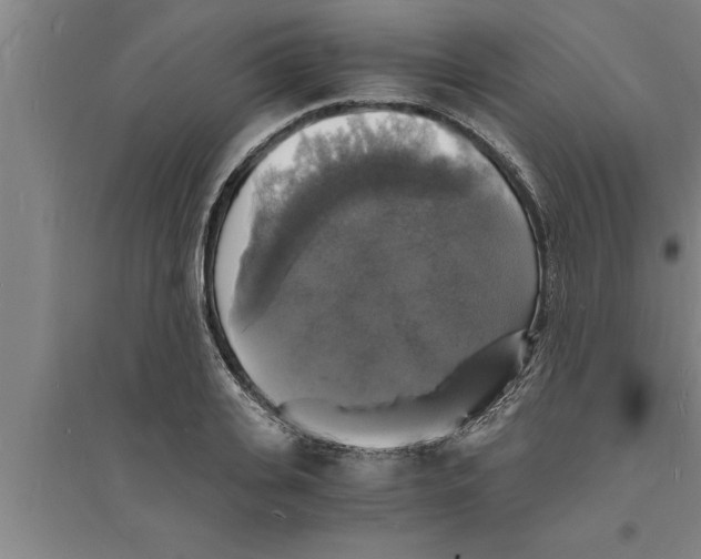 X0000094060935200711161521