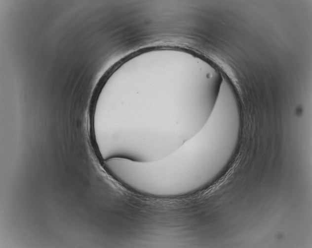 X0000094060936200711161521