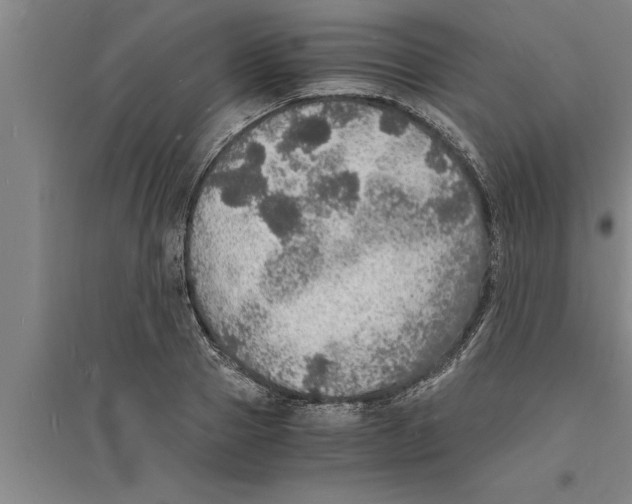 X0000094060937200711161521