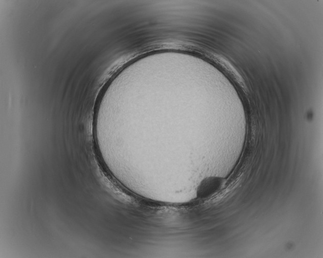 X0000094060938200711161521