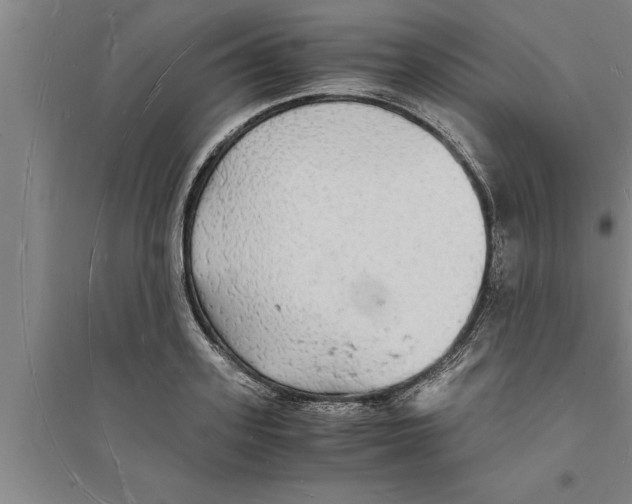 X0000094060939200711161521