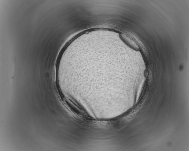 X0000094060940200711161521