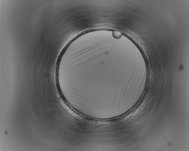 X0000094060941200711161521