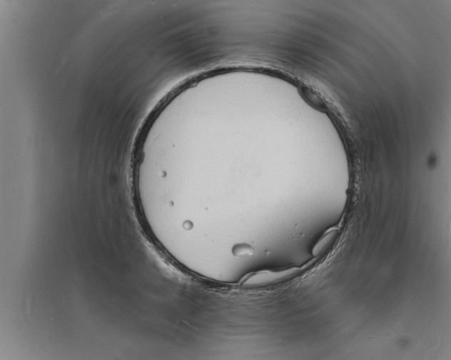 X0000094060942200711161521