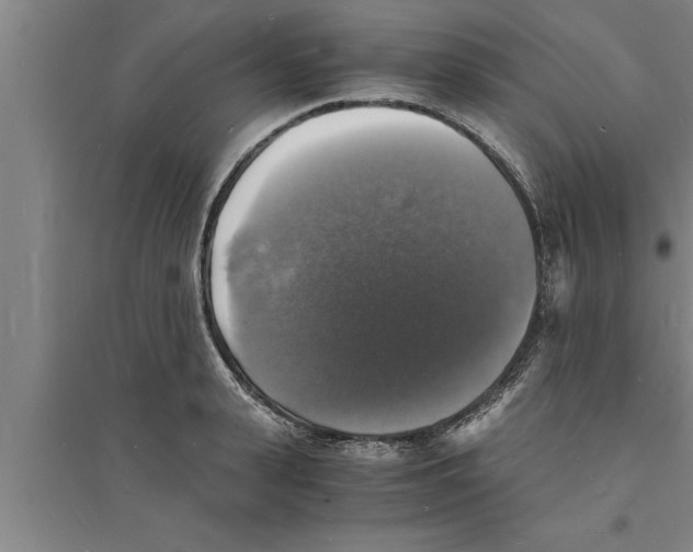 X0000094060943200711161521