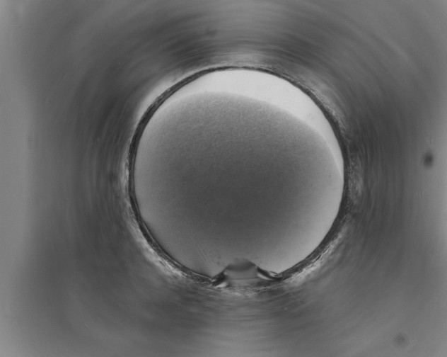 X0000094060944200711161521