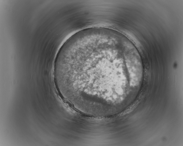 X0000094060948200711161521