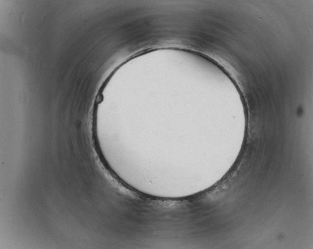 X0000094060949200711161521