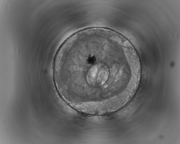 X0000094060950200711161521