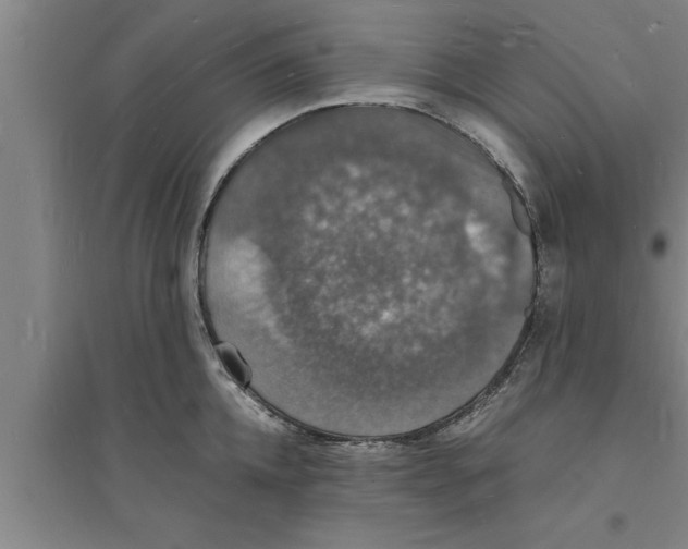 X0000094060952200711161521