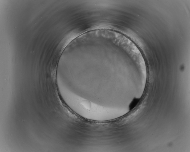 X0000094060953200711161521