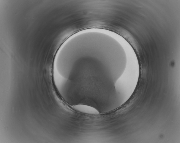 X0000094060954200711161521