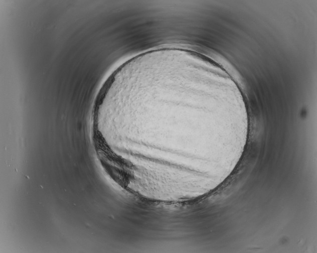 X0000094060955200711161521