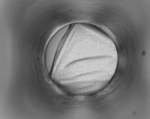 X0000094060956200711161521