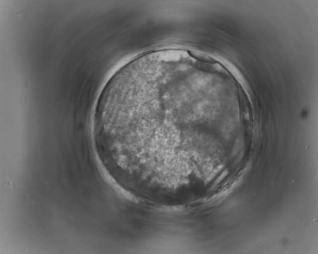 X0000094060957200711161521