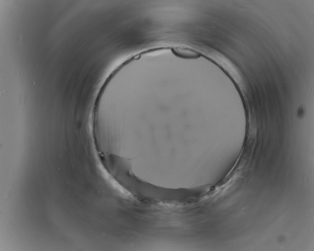 X0000094060958200711161521