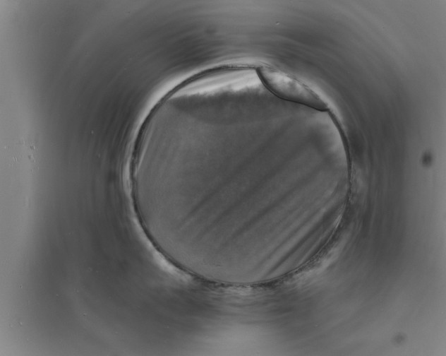 X0000094060959200711161521