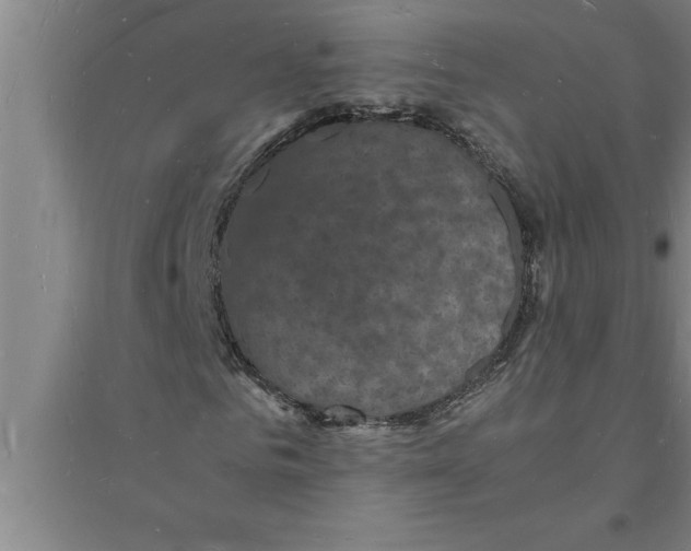 X0000094060961200711161521