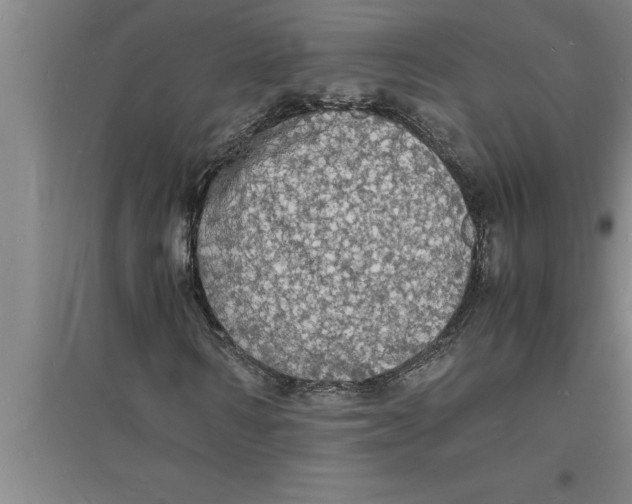 X0000094060962200711161521