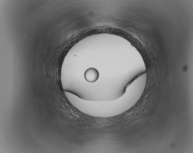 X0000094060965200711161521