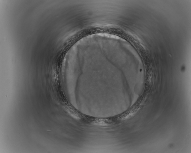 X0000094060966200711161521