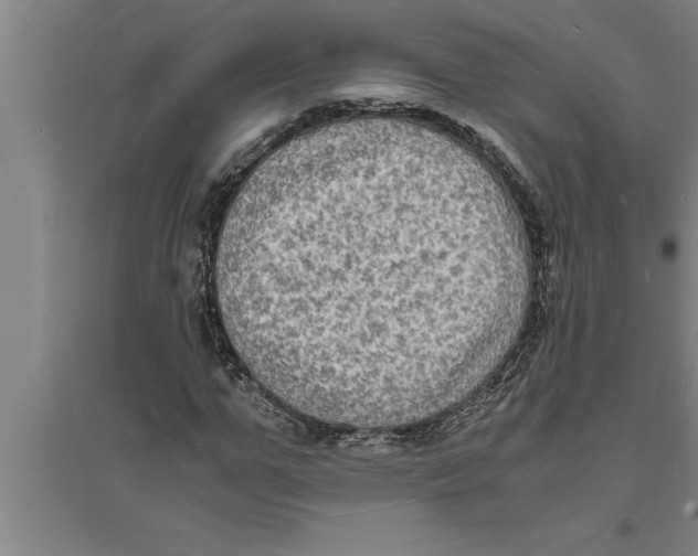 X0000094060967200711161521