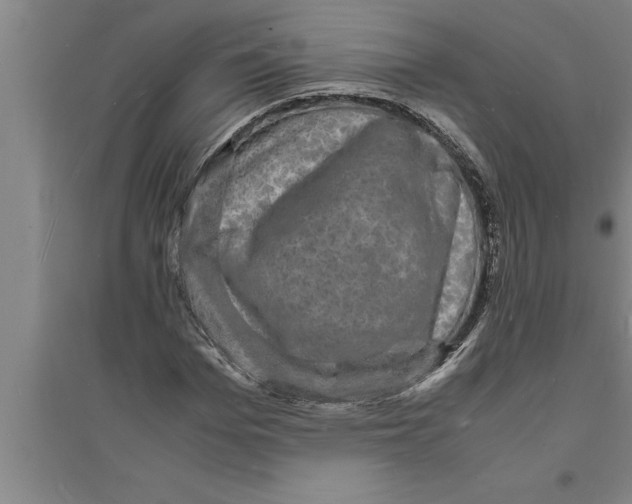 X0000094060969200711161521