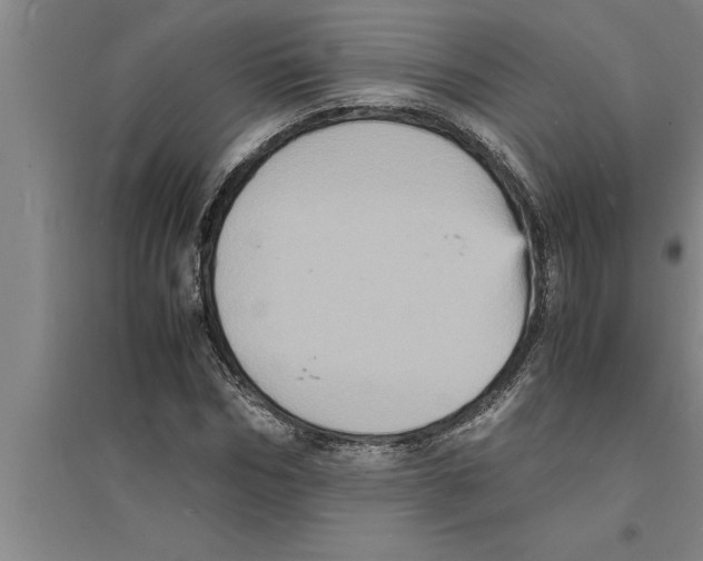 X0000094060970200711161521