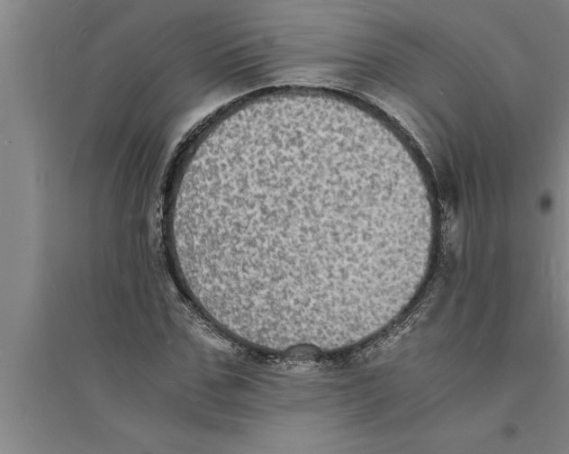 X0000094060971200711161521