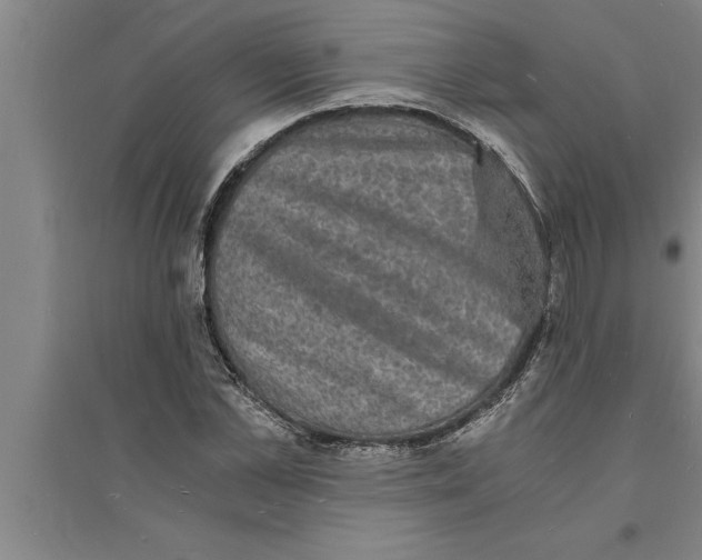 X0000094060973200711161520