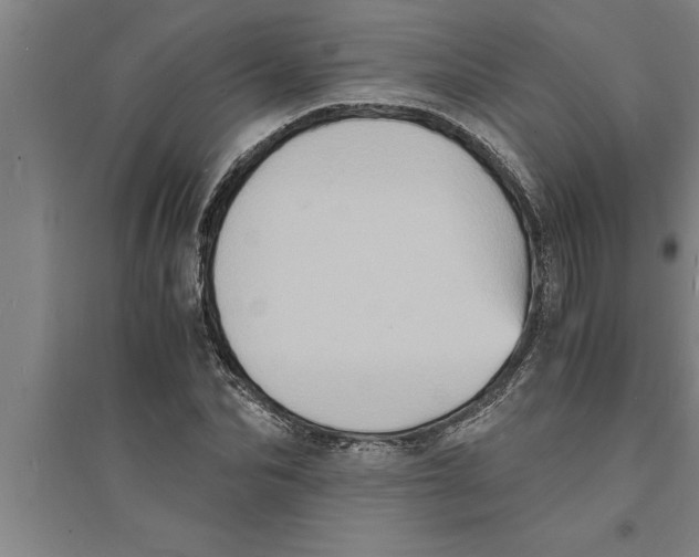 X0000094060974200711161520