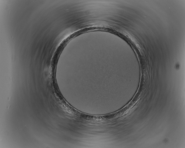 X0000094060975200711161520