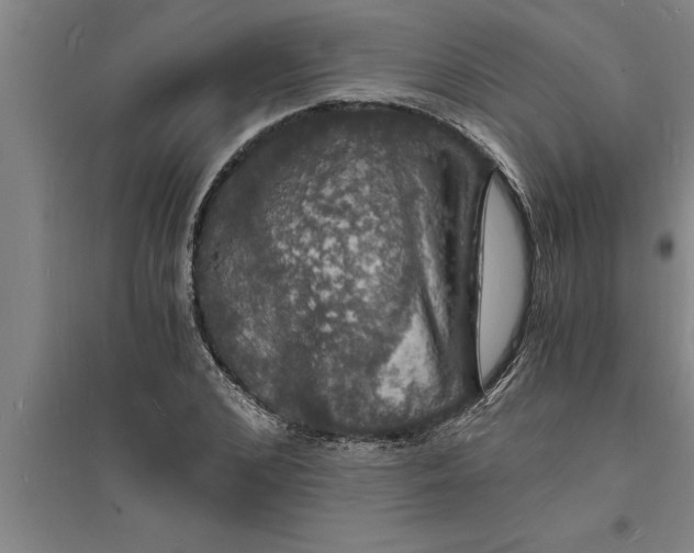 X0000094060976200711161520