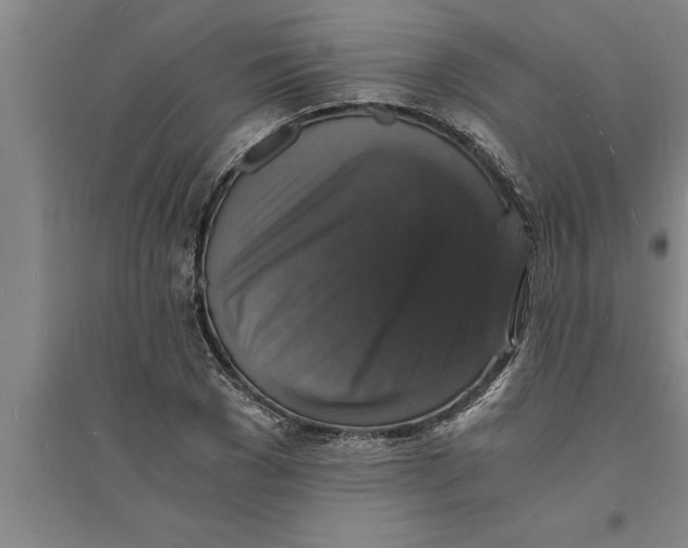 X0000094060977200711161520