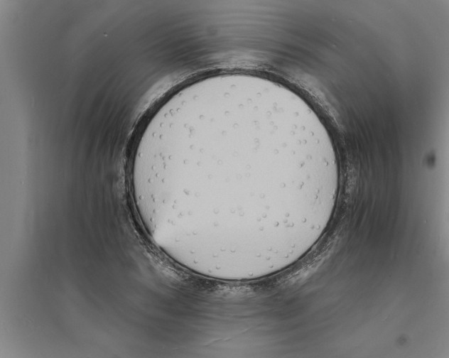 X0000094060978200711161520