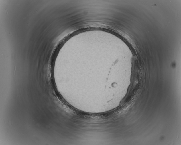 X0000094060979200711161520