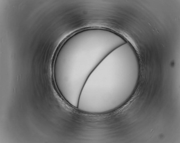 X0000094060980200711161520