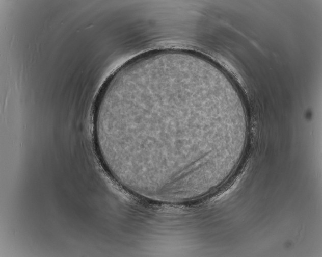 X0000094060981200711161520