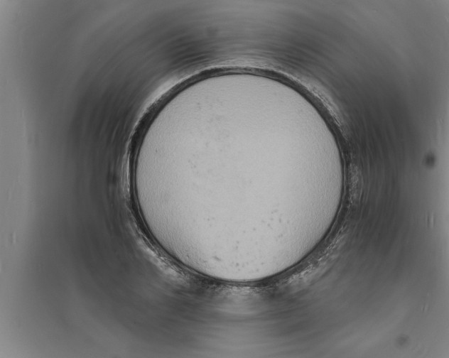 X0000094060982200711161520