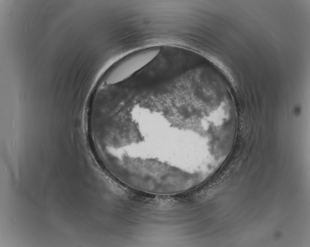 X0000094060983200711161520