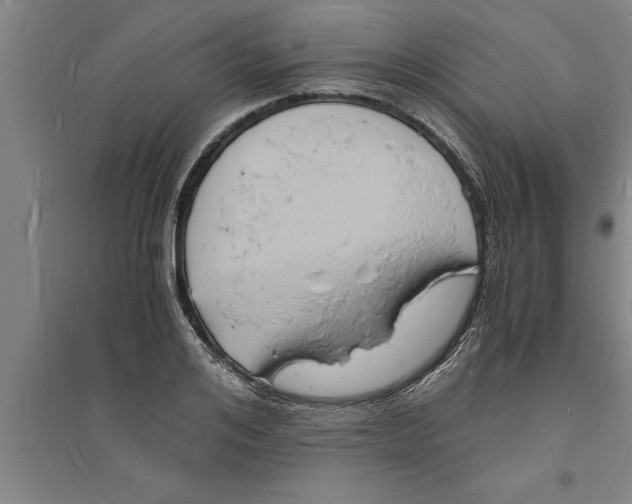 X0000094060984200711161520