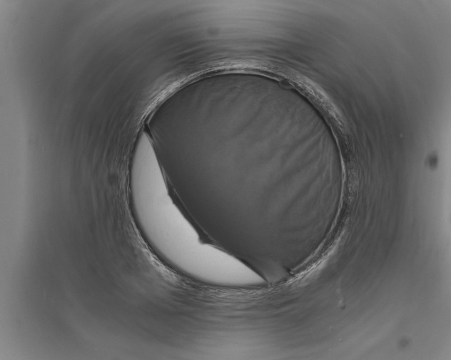 X0000094060985200711161520