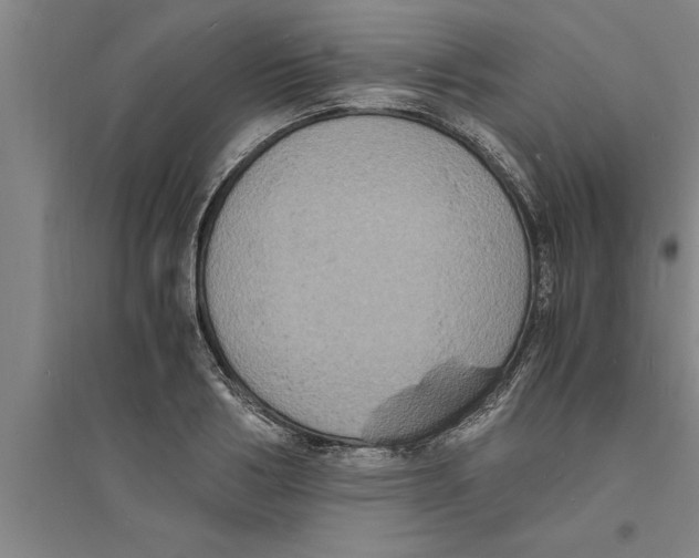 X0000094060986200711161520